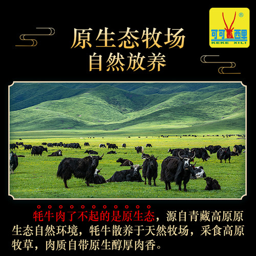 可可西里牦牛肉干青海特产清真健身零食追剧解馋小吃官方旗舰店 - 图0