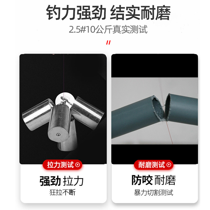 斑点隐形主线组钓鱼线套装全套台钓正品超强拉力绑好渔具成品鲫鱼,淘宝优惠券,粉丝福利购,淘宝优惠卷