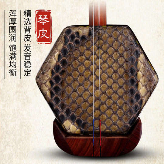 Suzhou Erhu – magasin phare d'instruments de musique, véritable vente directe d'usine