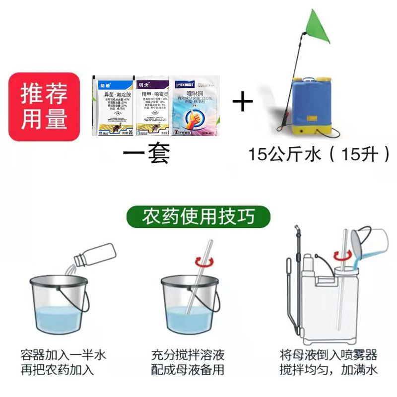 姜瘟病专用药异菌氟啶胺精甲恶霉灵喹啉铜生姜根腐烂脖子病杀菌剂 - 图2