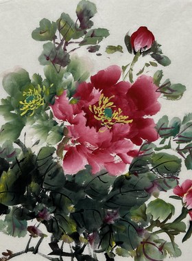 墨香村装饰国画花鸟纯手绘三尺斗方牡丹花开富贵MV60616144-152