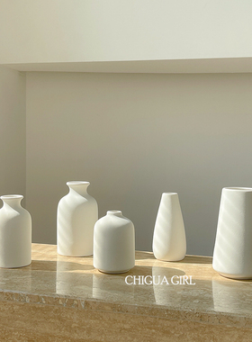 ins风陶瓷花瓶白色素胚北欧工艺品办公桌摆件家居装饰干花小花瓶