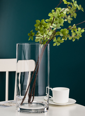 大号花瓶客厅摆件插花透明玻璃北欧创意简约醒花直筒富贵竹马醉木