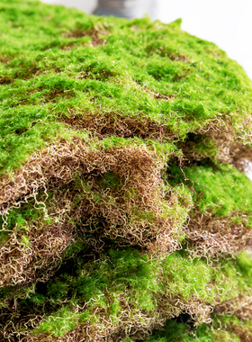仿真绿植苔藓青苔块草坪微景观人造草皮装饰假植物橱窗阳台造景