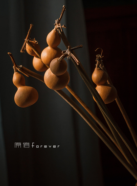 天然葫芦干花禅意干枝新中式家居民宿复古装饰品玄关树枝茶道摆件