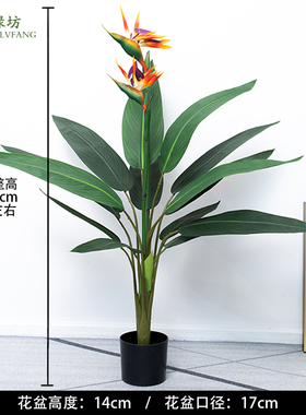 北欧仿真植物旅人蕉室内落地盆栽摆件装饰龟背叶竹绿植天堂鸟假树