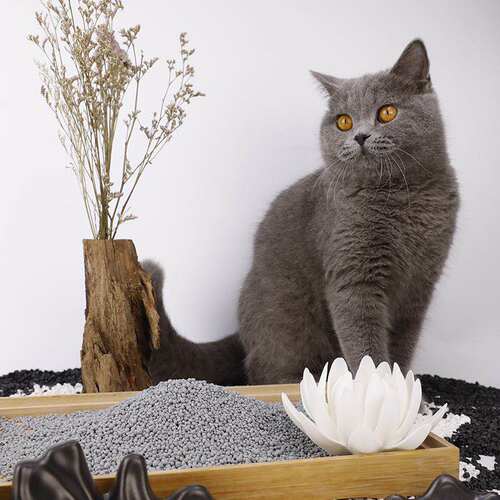 精灵猫薰衣草猫砂4KG矿物质活性炭混合猫砂除臭无尘大袋可冲厕所 - 图2