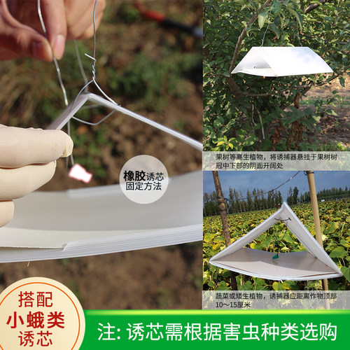 中捷四方一体式三角形诱捕器性诱剂昆虫果园诱捕搭配农具装置 - 图1