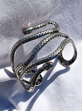 青岛外贸流行饰品欧美原单正品个性夸张复古银抽象双头蛇精品手镯