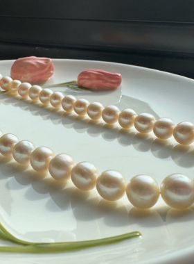 天然淡水白珍珠项链女9-10m高级锁骨链