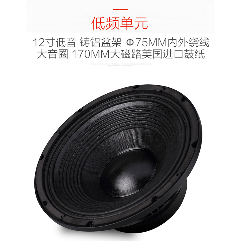 12-inch horn karaoke speaker Yacare wood color