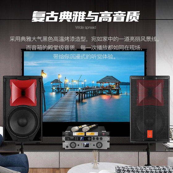 雅桥D12高端家庭KTV音响套装全套卡拉OK家用K歌专业影院音箱设备