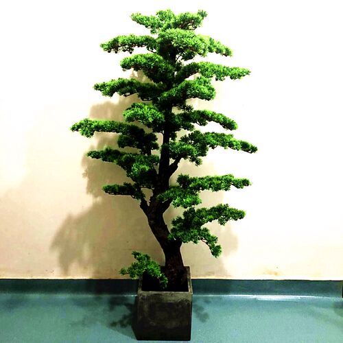 仿真植物大型假树发财树客厅摆设酒店装潢特价假花2米木兰树盆景 - 图1