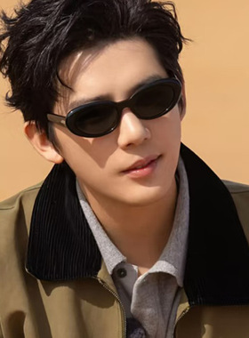 王安宇同款墨镜男士痞帅椭圆小框