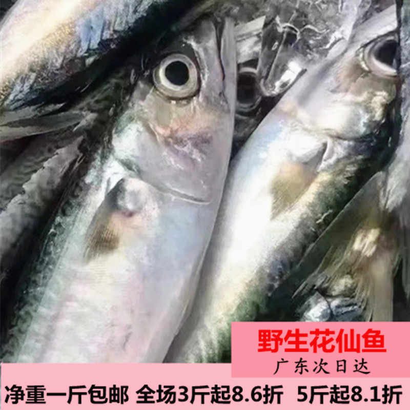 花仙鱼 新人首单立减十元 22年8月 淘宝海外