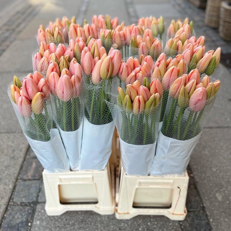 法郁水蜜桃郁金香 一扎10枝欧式轻奢日常瓶插 花束礼盒婚礼手捧花,淘宝优惠券,粉丝福利购,淘宝优惠卷