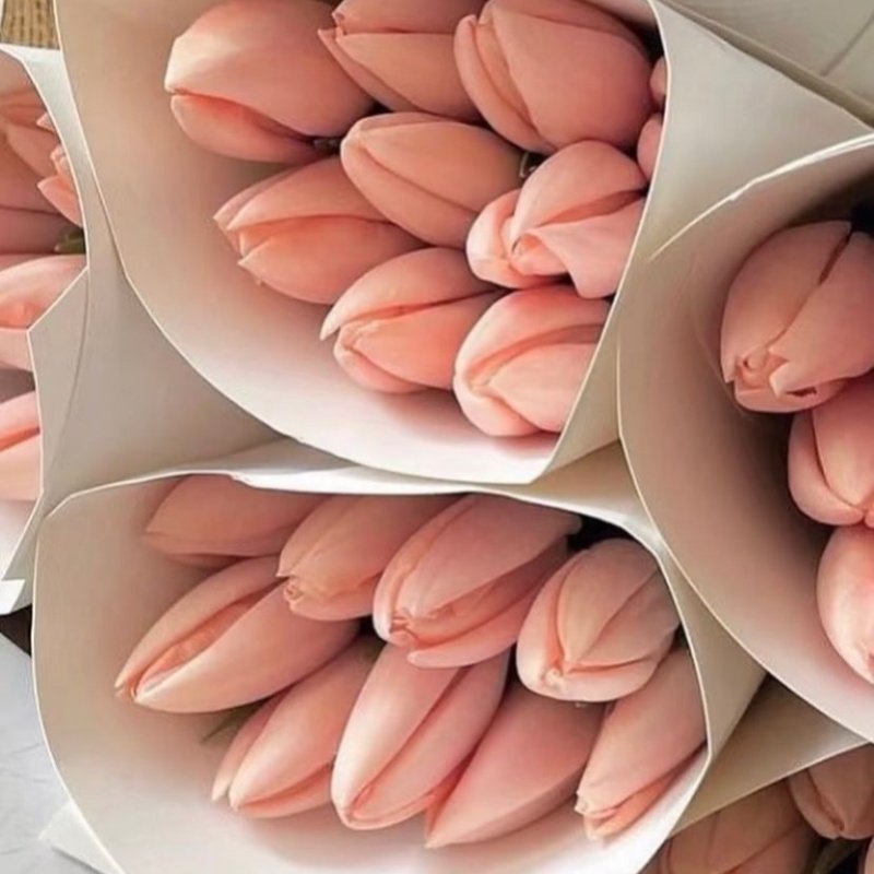 法郁水蜜桃郁金香 一扎10枝欧式轻奢日常瓶插 花束礼盒婚礼手捧花,淘宝优惠券,粉丝福利购,淘宝优惠卷