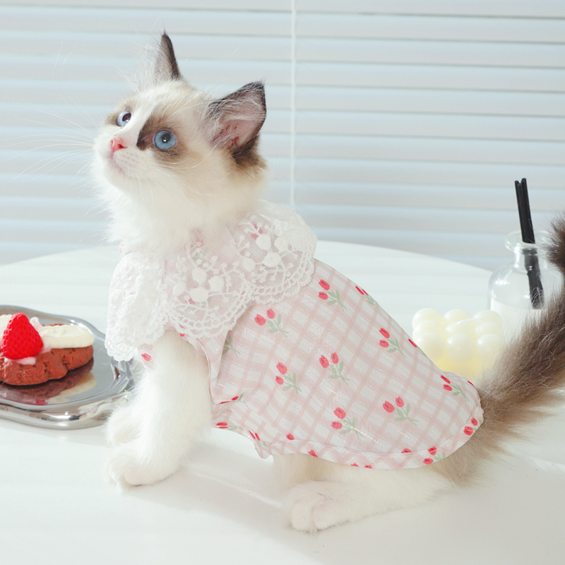 猫咪衣服夏天薄款防掉毛服装布偶猫纯棉小猫防晒宠物猫猫夏季背心 - 图3