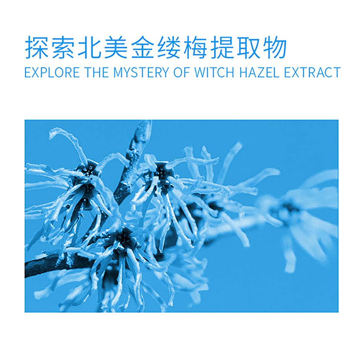 WIS旗舰店WIS爽肤水升级版 补水保湿控油滋润柔肤收缩毛孔化妆水正品男女士1