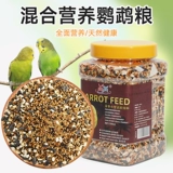 Попугай кормила птичья пищу тигр кожа черная феникса питание питание с пять пище