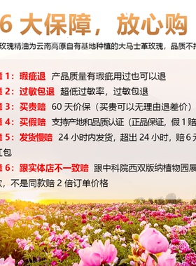 云南天然植物护肤大马士革玫瑰精油面部脸部刮痧按摩保湿滋润