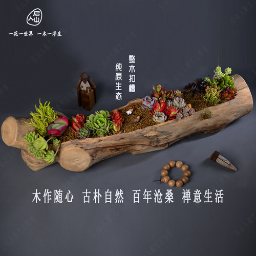 网红创意原生态多肉烂木头花盆简约个性阳台唐印石斛老树桩枯木槽 - 图1