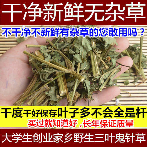 野生鬼针草新货中药材三叶鬼针草茶归真草干品包邮有叶有杆500g - 图3