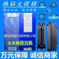 Zhuzhou Numerical Control Blade YBG202 ZPGD0402-MG Quality Assurance