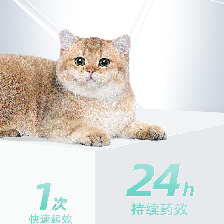 猫咪眼药水滴眼液宠物消炎氯霉素泪痕去除狗狗眼屎洗眼液比熊专用