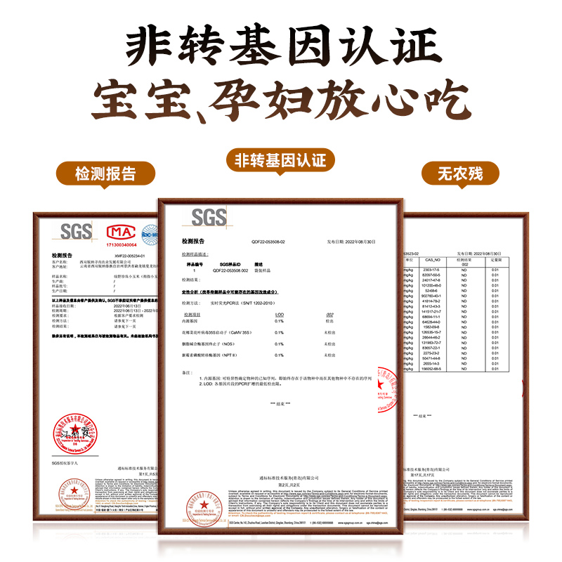 拇指玉米云南西双版纳香糯小玉米傣家手指玉米新鲜儿童宝宝婴儿 - 图2