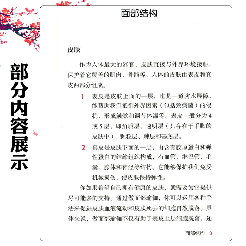 面部瑜伽 47组经典练习6大核心部位 迅速重建面部肌肉天然支撑力让肌肤回归紧致丰盈饱满的元气状态 北京科学技术9787571430498