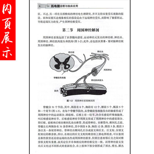 正版 肌电图诊断与临床应用第2版第二版 党静霞编著 肌电图案例教程图谱 基础医学参考工具书籍 人民卫生出版社9787117181495 - 图2