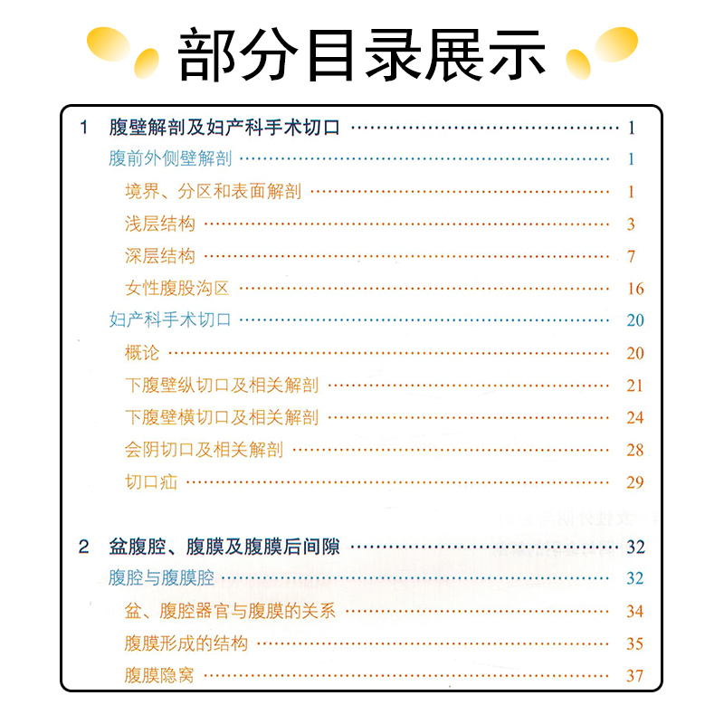 正版 妇产科临床解剖学第2版 钟氏镇现代临床解剖学全集第2版 郎景和 张晓东 临床解剖案例教程 山东科学技术出版社9787533199500 - 图2