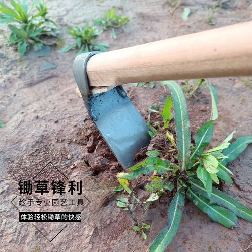 新款农用长柄锄草神器锄地除草锄头专用全钢加厚农具户外挖土种菜 - 图2