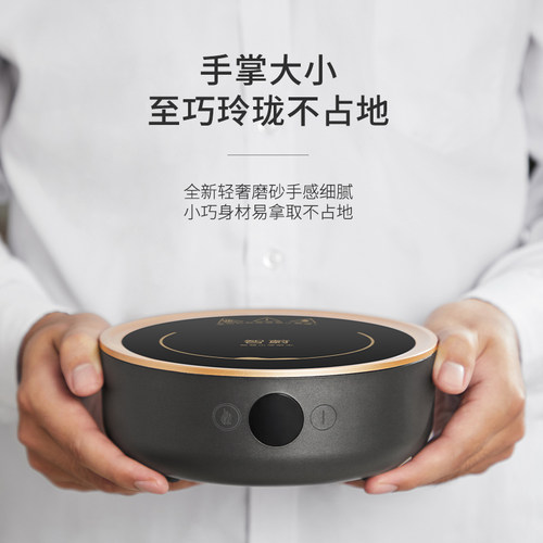 智蔚智能静音电陶炉煮茶器玻璃煮茶壶围炉煮茶茶具套装家用煮茶炉 - 图0