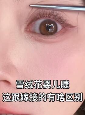 【雪绒花假睫毛】十排甜美假睫毛自然睫毛单簇精灵化妆师温柔棕