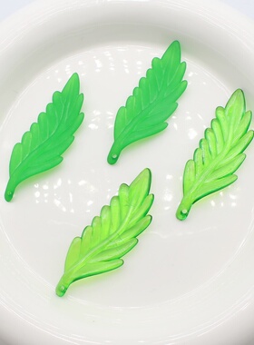 DIY绿色透明花束叶片羽毛叶