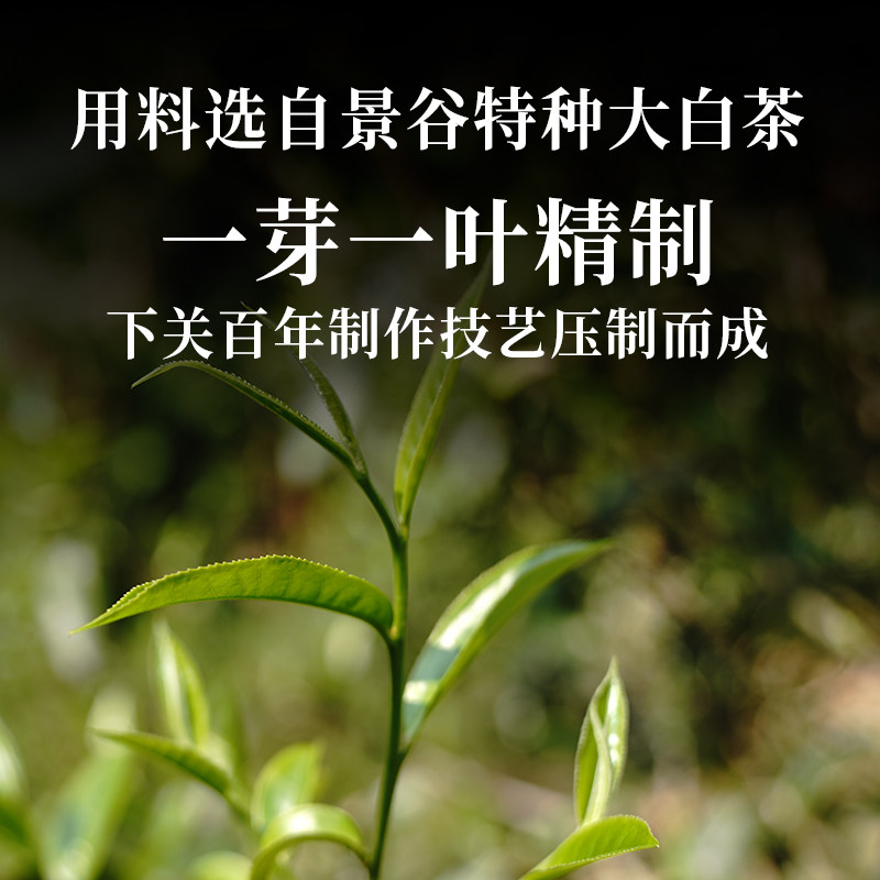 【整提5饼装】茶云南景谷月光白茶200g*5饼 2024年,淘宝优惠券,粉丝福利购,淘宝优惠卷