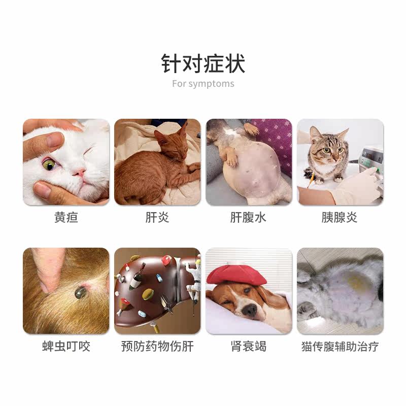 猫咪黄疸猫腹水猫传腹肾衰竭补血肝精狗肝炎胰腺炎丹诺肝硬化中药