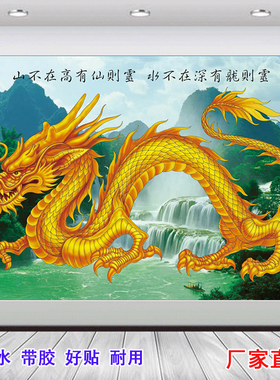中国贴画双龙吉祥招财风水客厅