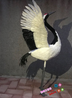 室内仿真道具园林橱窗摆件丹顶鹤