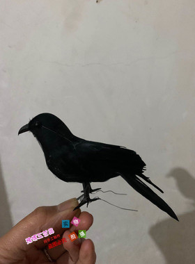仿真园林影视拍摄鸟笼道具乌鸦