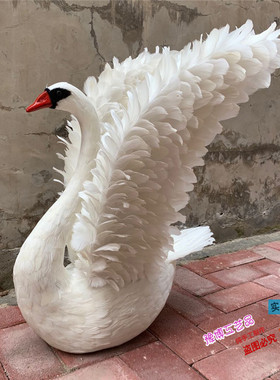 影视婚庆拍摄舞蹈情侣白天鹅道具