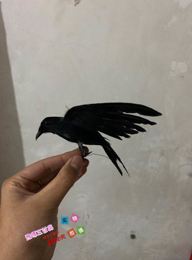 仿真万圣节教学影视道具装饰品