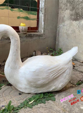 影视拍摄道具泡沫田园风装饰摆件