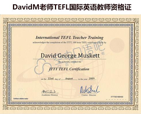 英国外教DavidM外教口语陪练1对1网课25分钟TEFL教师资格 会中文 - 图0