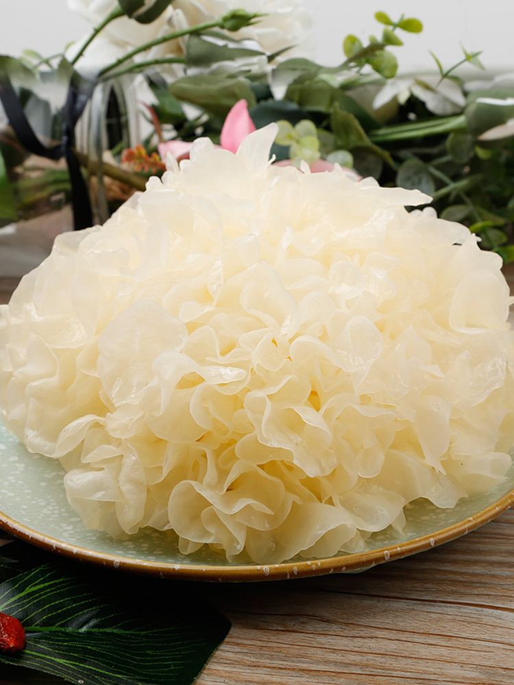 古松旗舰店古松 古田新鲜银耳鲜活雪耳非干货白木耳银耳莲子羹材料5朵装500g3