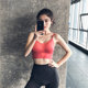 细肩带防震跑步聚拢运动内衣女健身背心式美背无钢圈瑜伽性感文胸