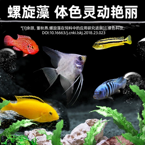 Санху цихлид кормил рыбу, лошади, ананасы, ананас, рыба