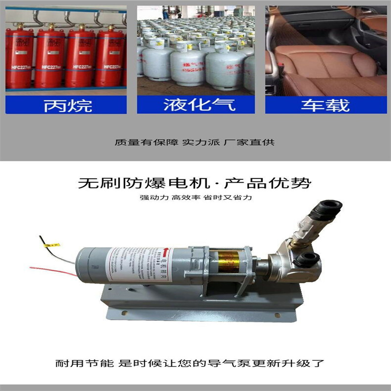 12v液化气导气泵 12伏液化气倒气泵 小液化气加气泵 丙烷泵充气泵 - 图2